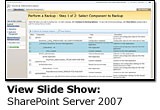 SharePoint Server 2007 Is an (Able) Jack of All Trades
