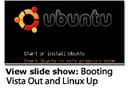 Do Your Customers Hate Vista? Rip and Replace with a Twist