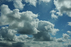 Microsoft Partners Fear Cloudy Days Ahead