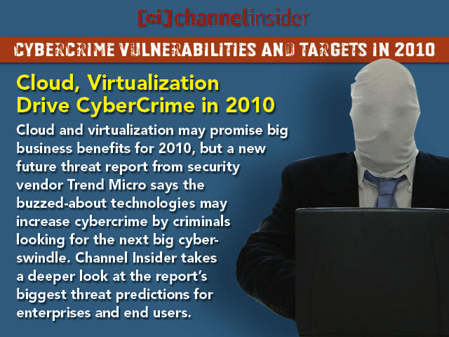 Cybercrime Vulnerabilities and Targets in 2010