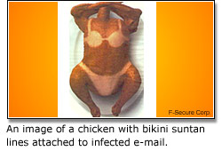 Chicken Swimsuit Model Hides Nasty Worm