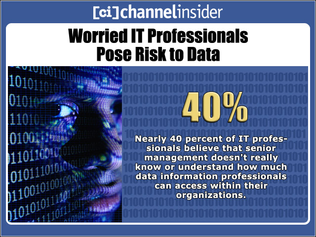 Worried IT Professionals Pose Risk to Data