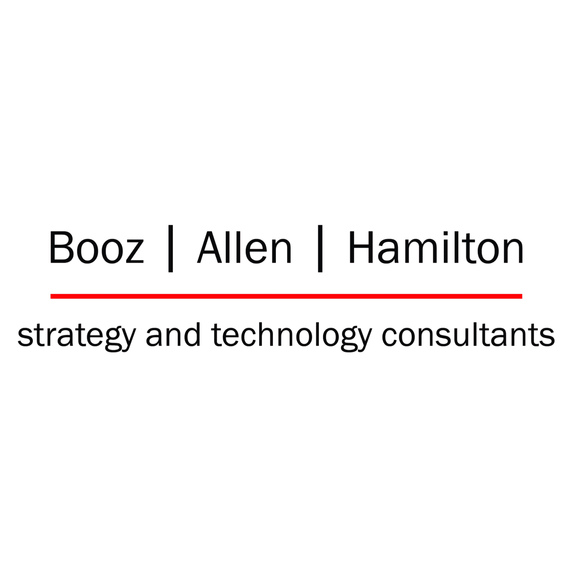 Booz Allen Hamilton: Channel Profile & Services