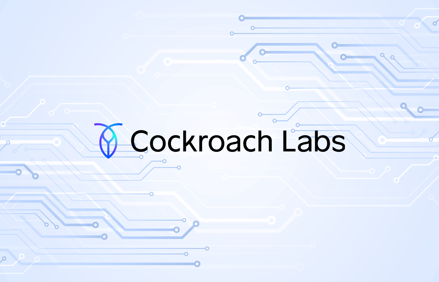 AI Meets Resilience: Cockroach Labs Intros CockroachDB 24.2