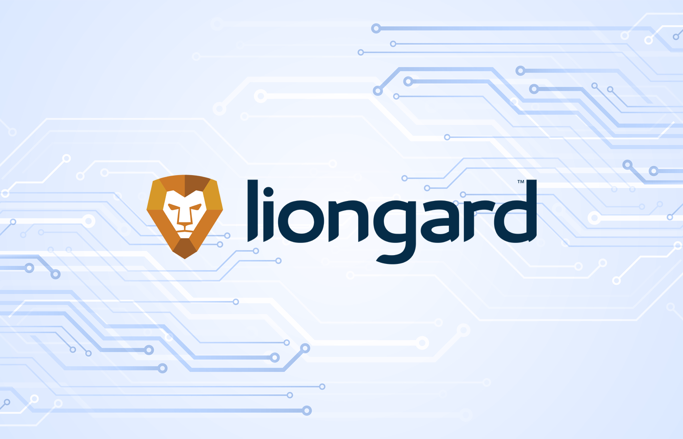 Liongard’s Brook Lee on New Role & Power of Channel Partners
