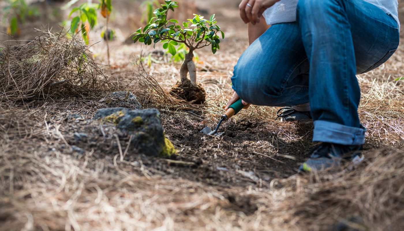 ScalePad CPO on Sustainability Programs & Growth via Culture