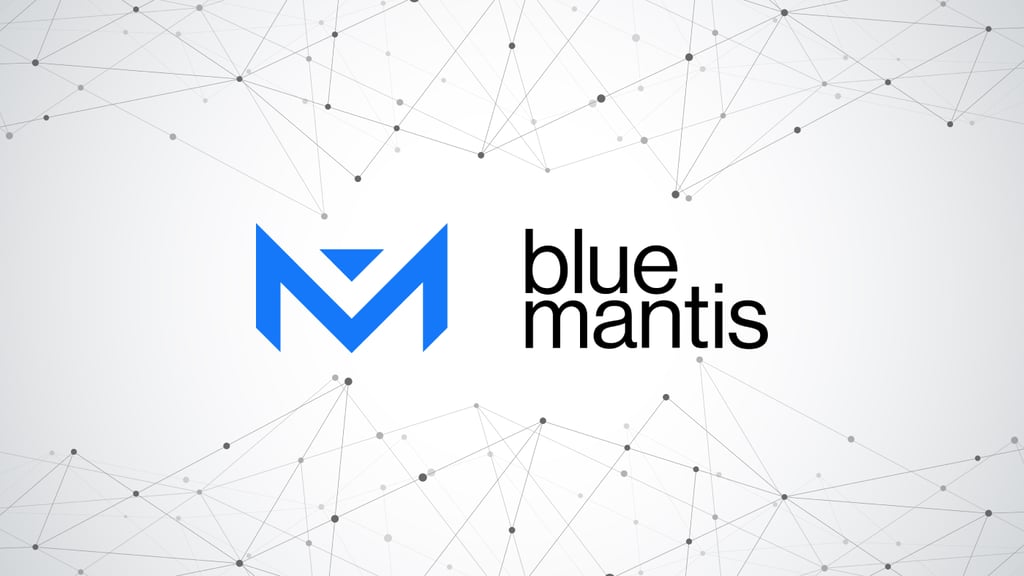 Blue Mantis Introduces Fully Managed Cybersecurity Service
