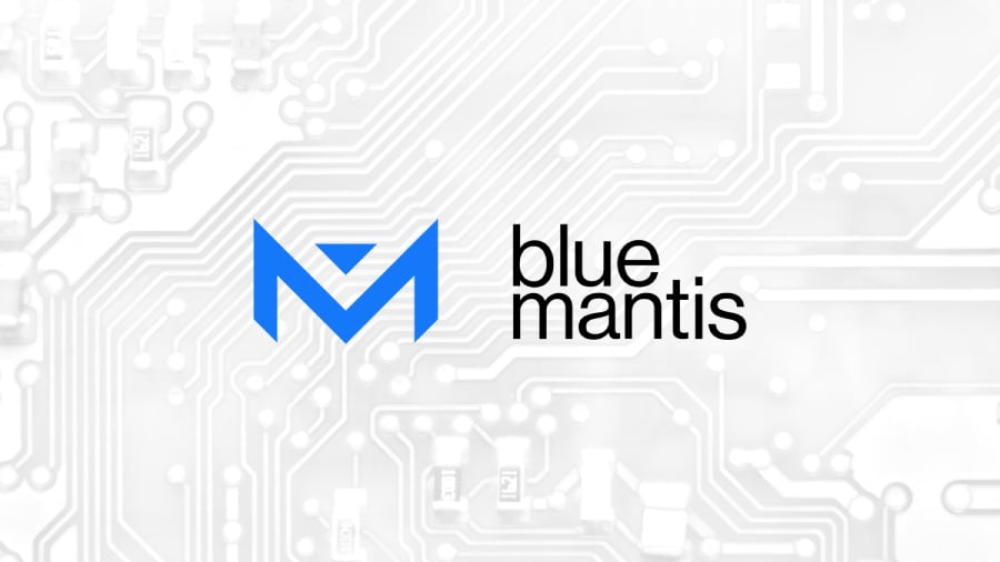 Blue Mantis Launches Portfolio for AI Readiness