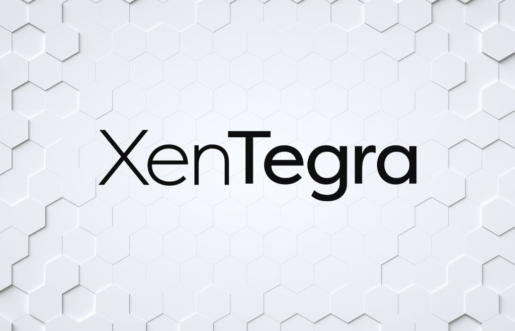 XenTegra CTO Sellers on AI, Security & More 2026 Opportunities