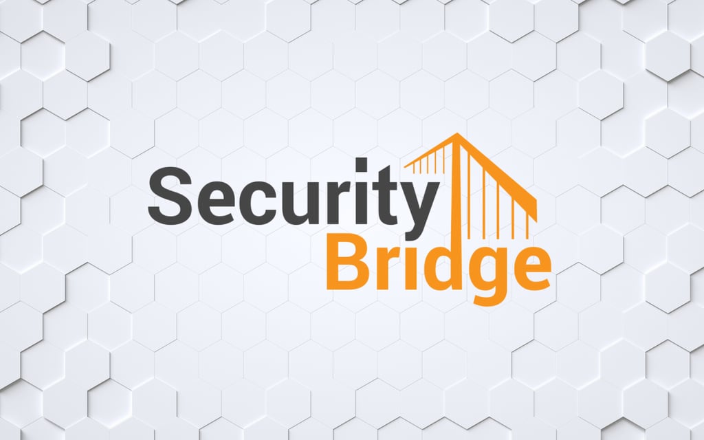 SecurityBridge Appoints Jesper Zerlang CEO to Drive Expansion